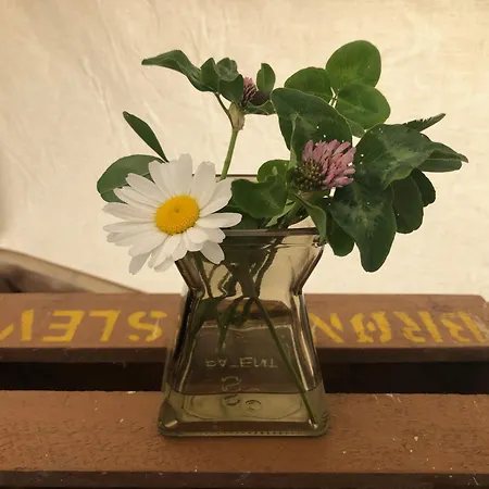 Helles Have Glamping Lyxtält *