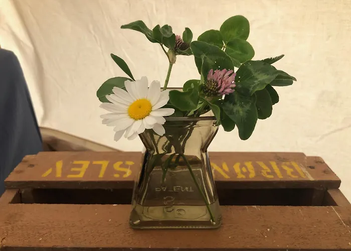 Helles Have Glamping 豪华帐篷 *